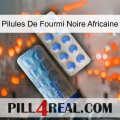 African Black Ant Pills 40
